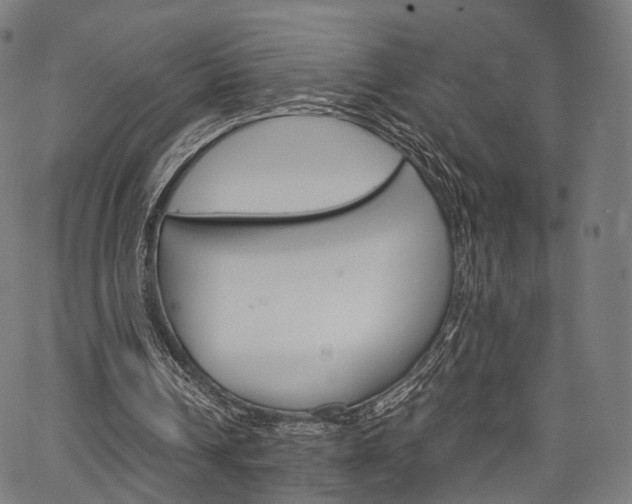 X0000067520242200604071031