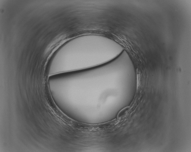 X0000067520243200604071031