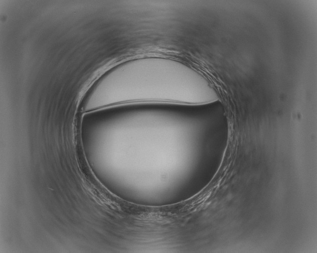 X0000067520244200604071031