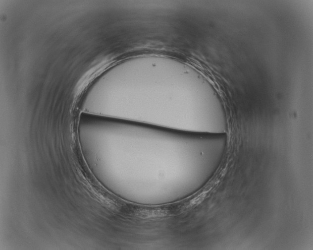 X0000067520245200604071031