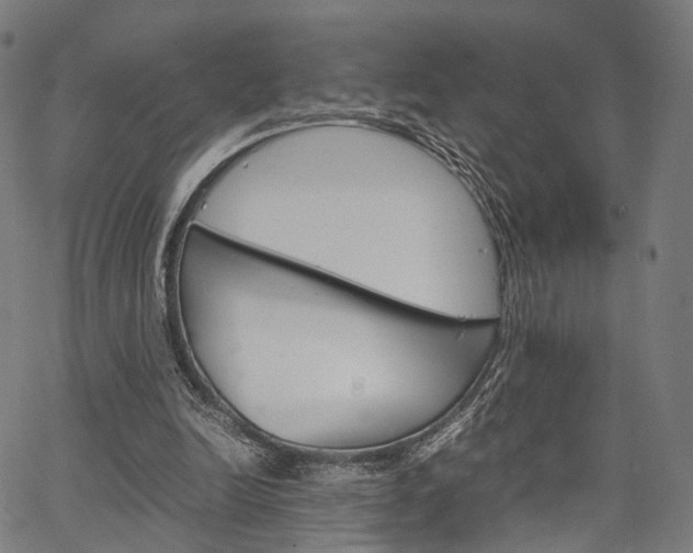 X0000067520246200604071031