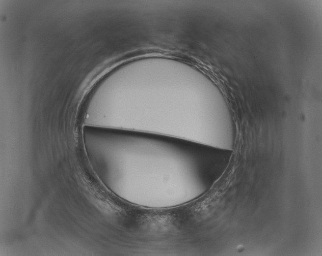 X0000067520247200604071031