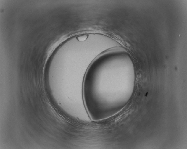 X0000067520248200604071031