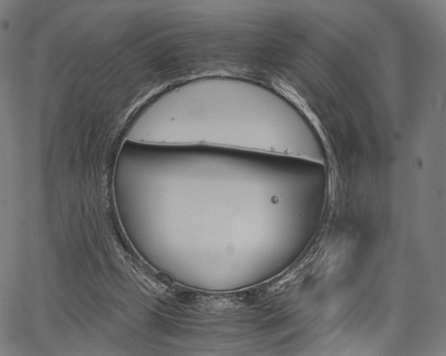 X0000067520249200604071031