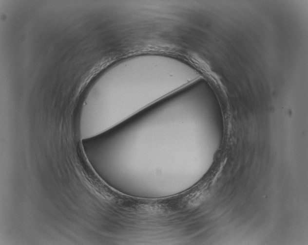 X0000067520250200604071031