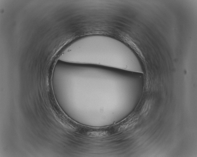 X0000067520251200604071031