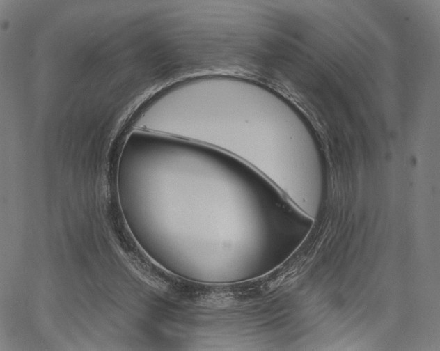 X0000067520252200604071031