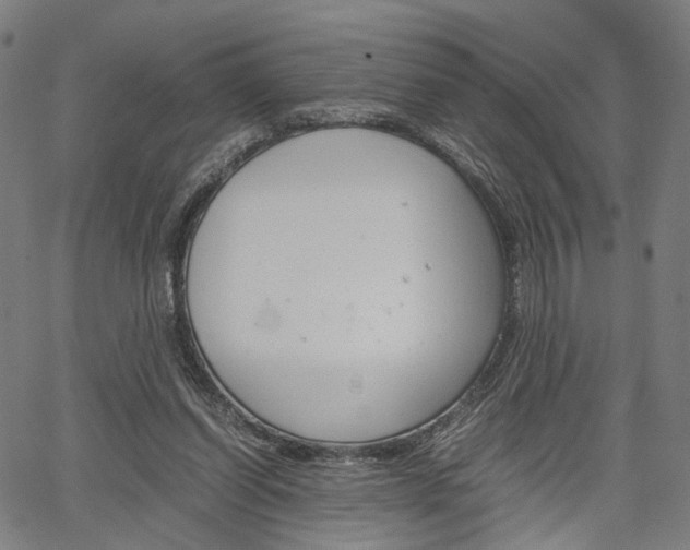 X0000067520254200604071031