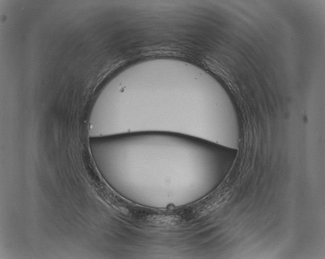 X0000067520255200604071031