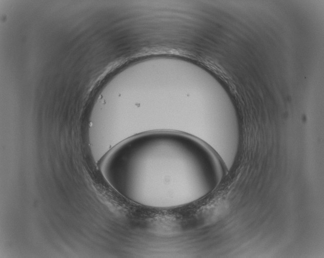 X0000067520256200604071031