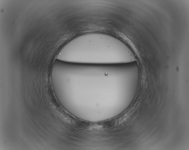 X0000067520257200604071031