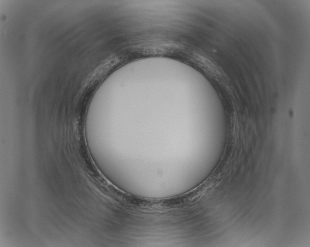 X0000067520258200604071031