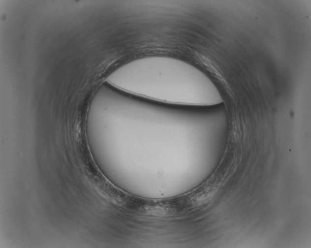 X0000067520259200604071031