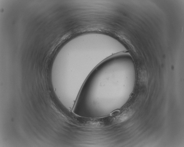 X0000067520260200604071031