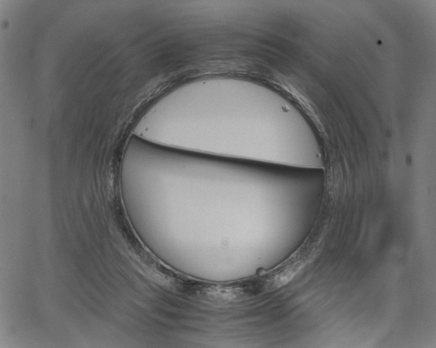 X0000067520261200604071031