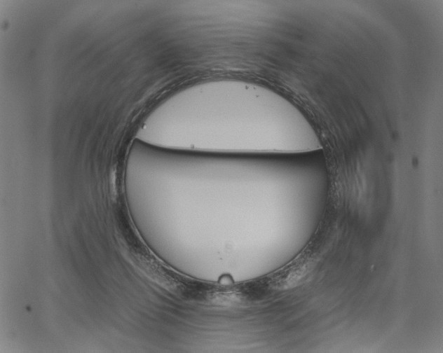 X0000067520262200604071031