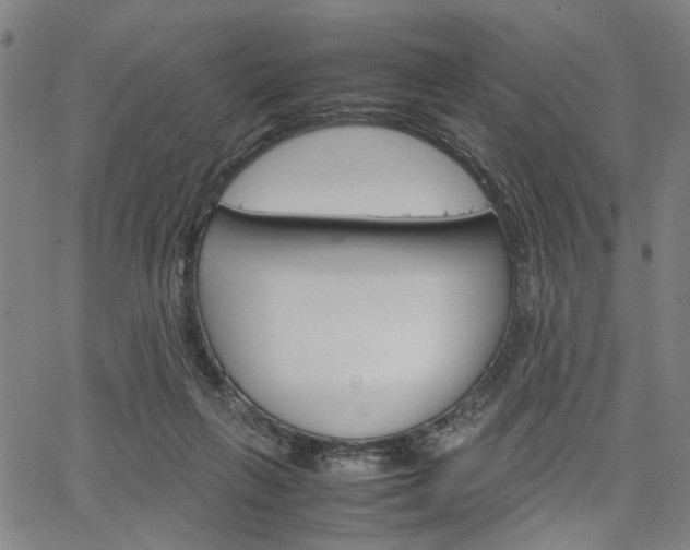 X0000067520263200604071031