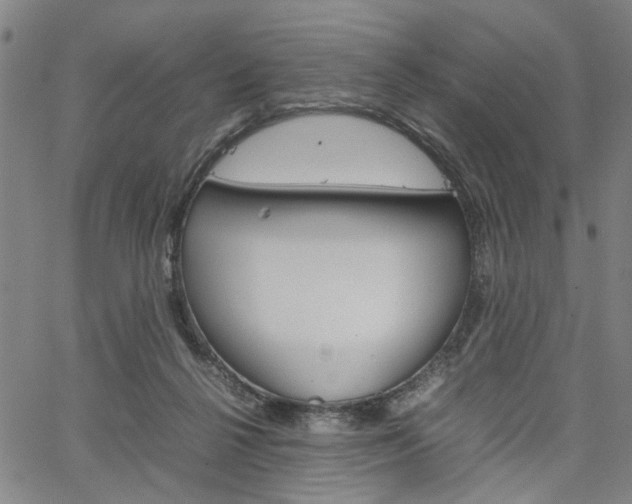 X0000067520264200604071031