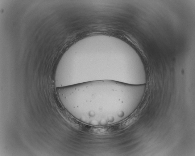 X0000067520265200604071031