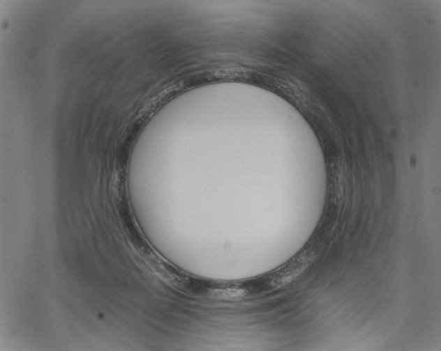 X0000067520266200604071031