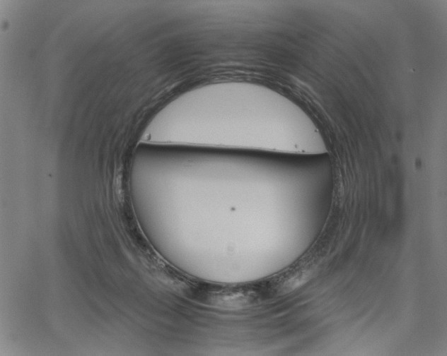 X0000067520267200604071031