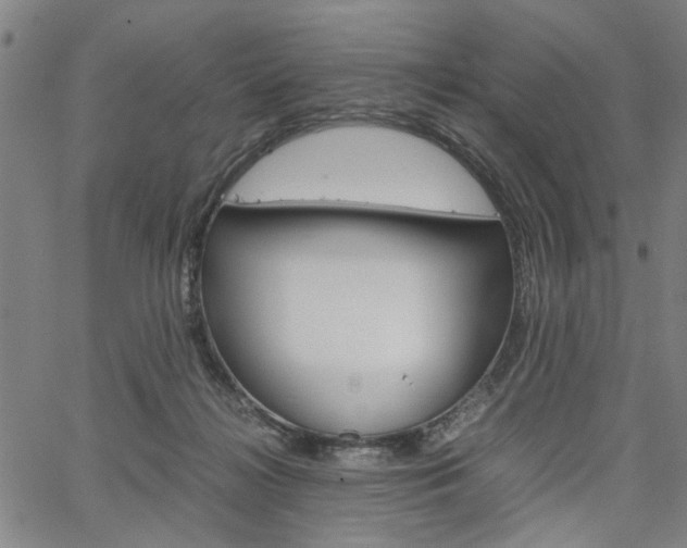 X0000067520268200604071031