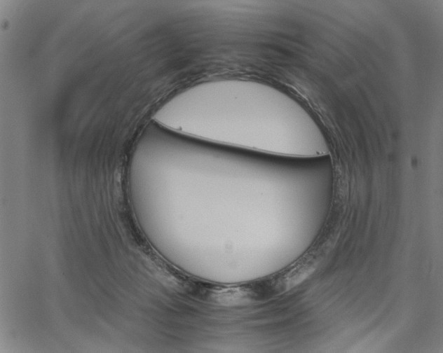 X0000067520269200604071031