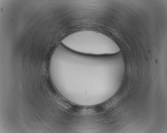 X0000067520270200604071031