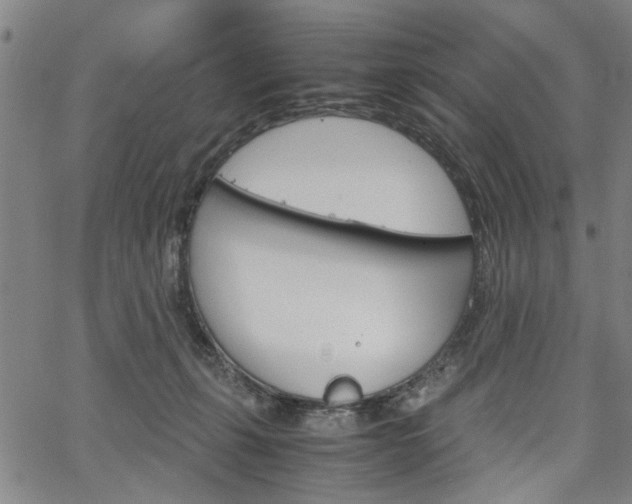 X0000067520271200604071031