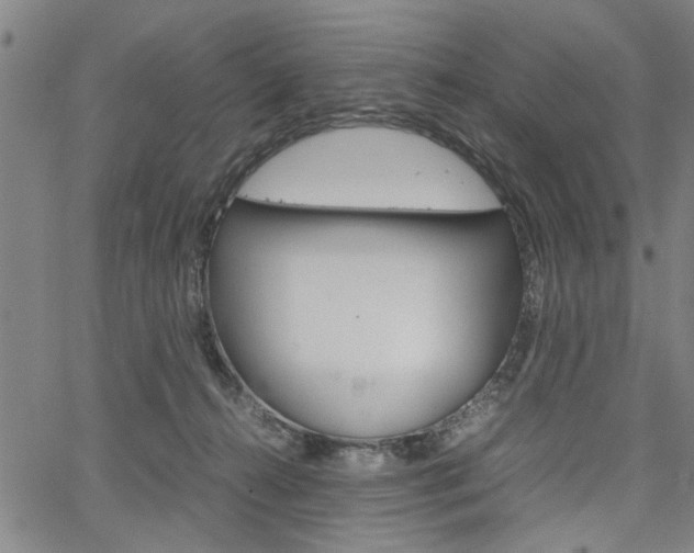 X0000067520272200604071032