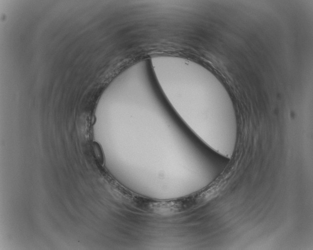 X0000067520273200604071032