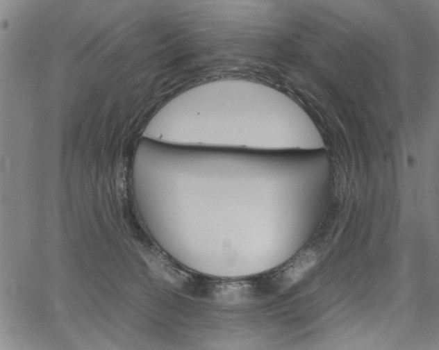 X0000067520274200604071032