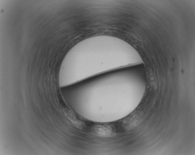 X0000067520275200604071032