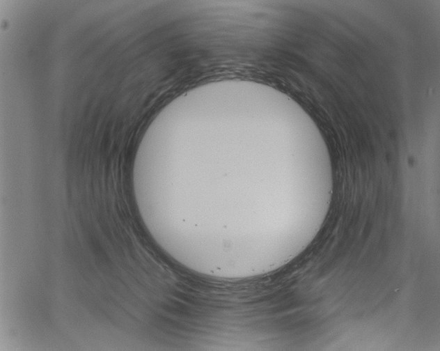 X0000067520276200604071032