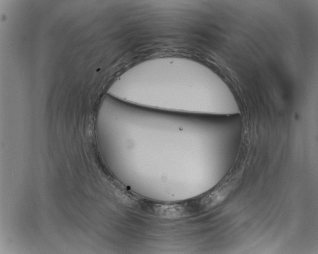 X0000067520277200604071032