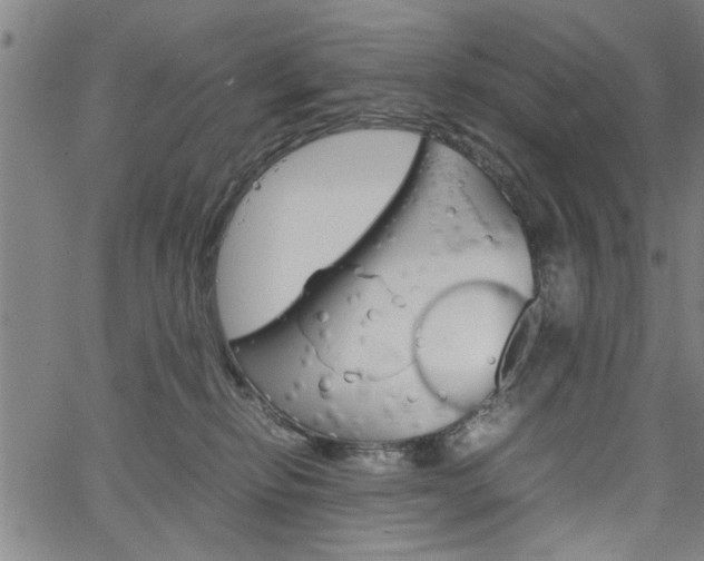 X0000067520278200604071032