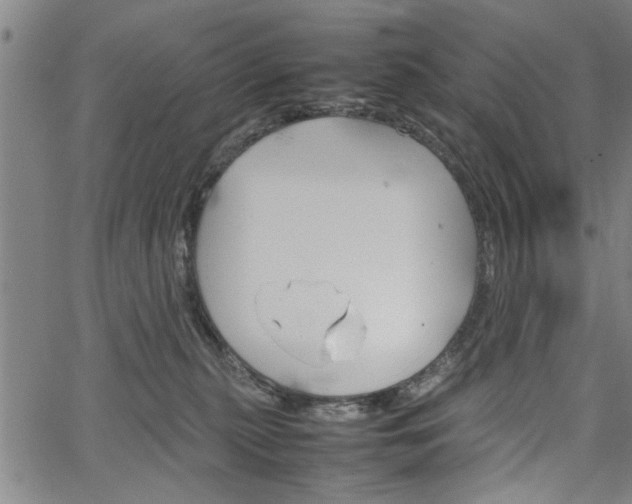 X0000067520279200604071032