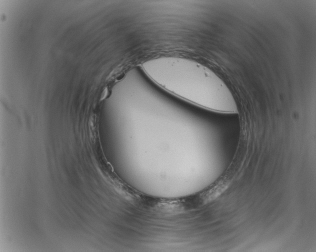 X0000067520280200604071032