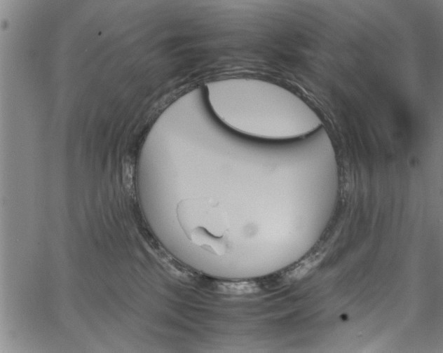 X0000067520281200604071032