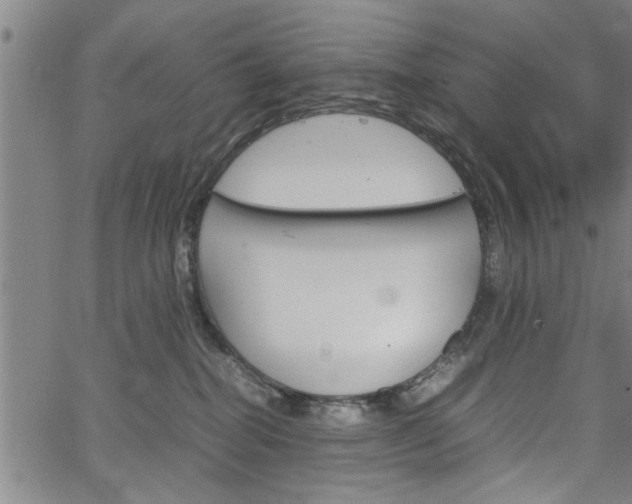 X0000067520282200604071032