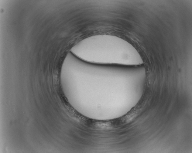 X0000067520283200604071032