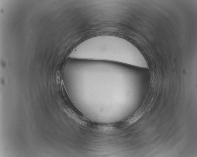 X0000067520284200604071032