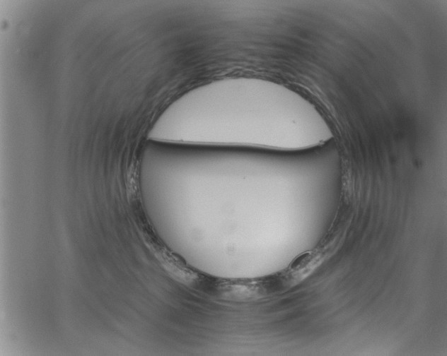 X0000067520285200604071032