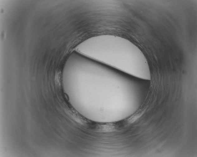 X0000067520286200604071032