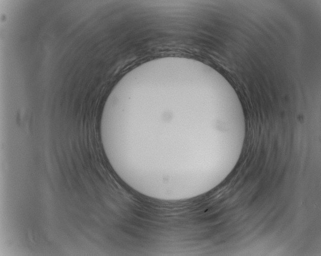 X0000067520287200604071032