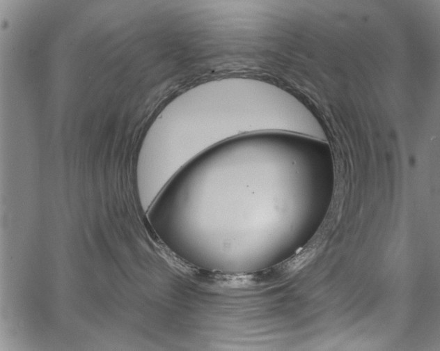 X0000067520288200604071032