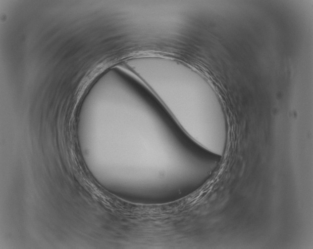 X0000067520289200604071031