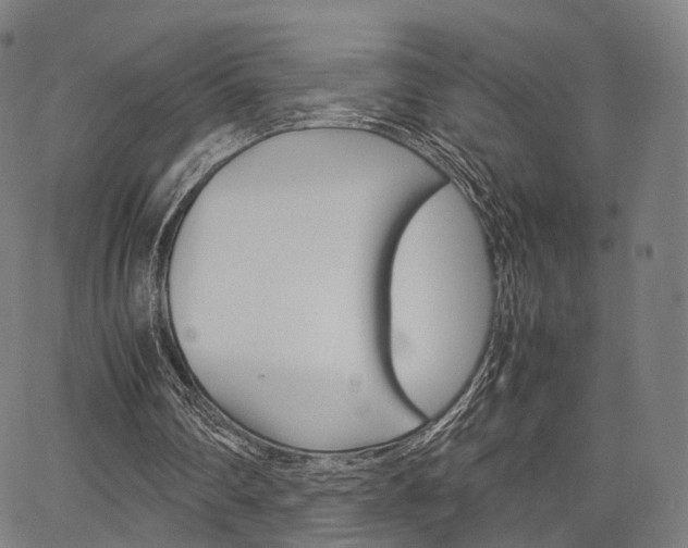 X0000067520290200604071031