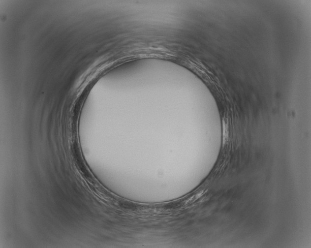 X0000067520291200604071031