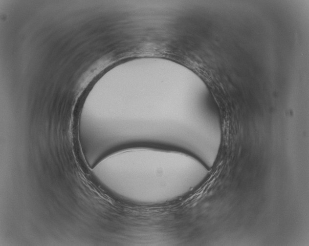 X0000067520292200604071031